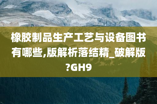 橡胶制品生产工艺与设备图书有哪些,版解析落结精_破解版?GH9