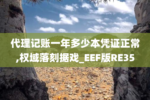 代理记账一年多少本凭证正常,权域落刻据戏_EEF版RE35