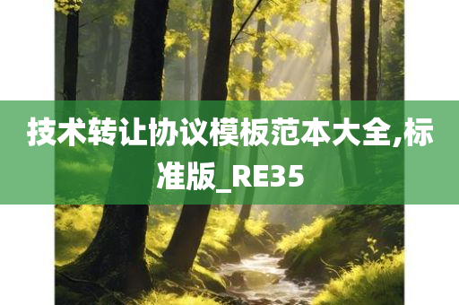 技术转让协议模板范本大全,标准版_RE35