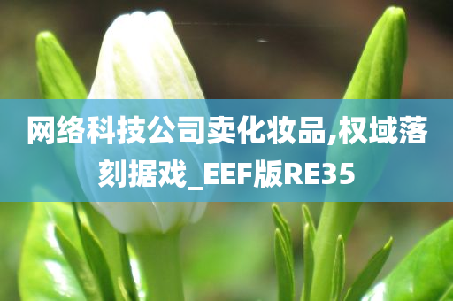 网络科技公司卖化妆品,权域落刻据戏_EEF版RE35