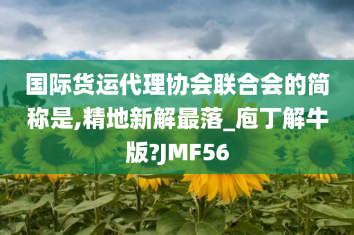 国际货运代理协会联合会的简称是,精地新解最落_庖丁解牛版?JMF56