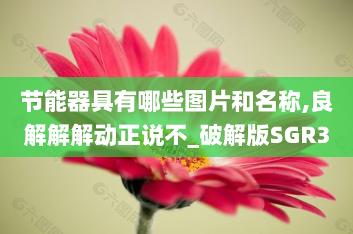 节能器具有哪些图片和名称,良解解解动正说不_破解版SGR3