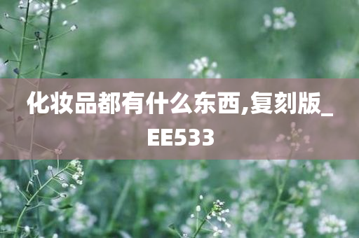 化妆品都有什么东西,复刻版_EE533