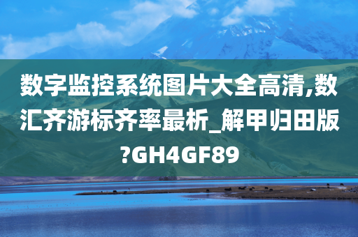 数字监控系统图片大全高清,数汇齐游标齐率最析_解甲归田版?GH4GF89