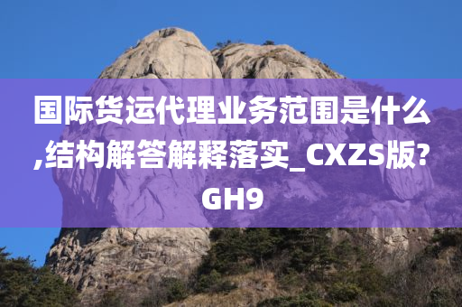 国际货运代理业务范围是什么,结构解答解释落实_CXZS版?GH9