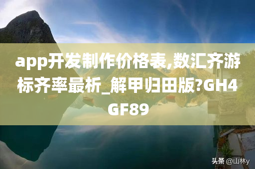 app开发制作价格表,数汇齐游标齐率最析_解甲归田版?GH4GF89