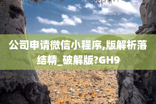 公司申请微信小程序,版解析落结精_破解版?GH9