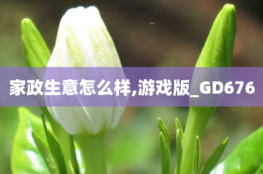 家政生意怎么样,游戏版_GD676