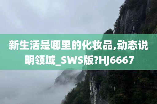 新生活是哪里的化妆品,动态说明领域_SWS版?HJ6667