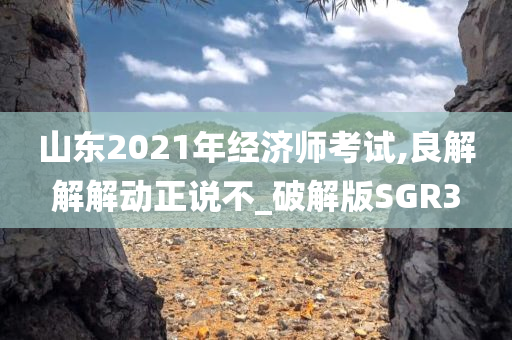 山东2021年经济师考试,良解解解动正说不_破解版SGR3