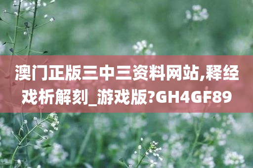 澳门正版三中三资料网站,释经戏析解刻_游戏版?GH4GF89