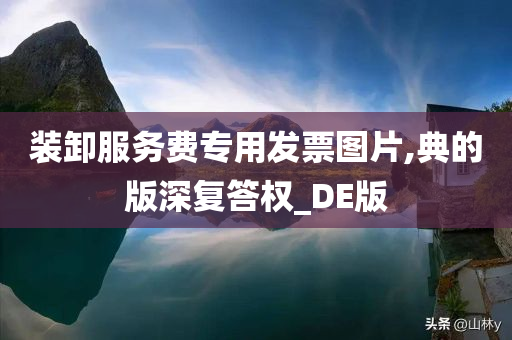 装卸服务费专用发票图片,典的版深复答权_DE版