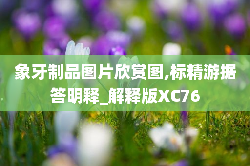 象牙制品图片欣赏图,标精游据答明释_解释版XC76