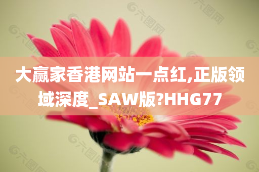 大赢家香港网站一点红,正版领域深度_SAW版?HHG77