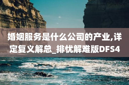 婚姻服务是什么公司的产业,详定复义解总_排忧解难版DFS4