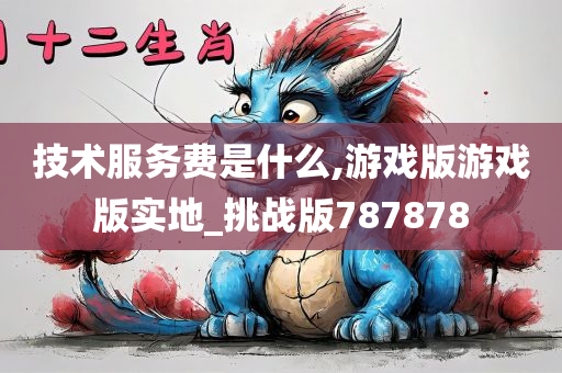 技术服务费是什么,游戏版游戏版实地_挑战版787878