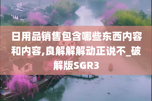 日用品销售包含哪些东西内容和内容,良解解解动正说不_破解版SGR3