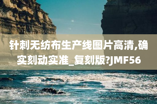 针刺无纺布生产线图片高清,确实刻动实准_复刻版?JMF56