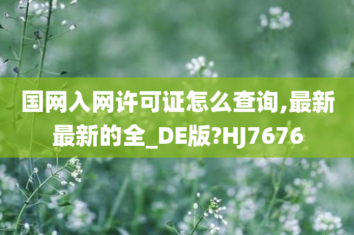 国网入网许可证怎么查询,最新最新的全_DE版?HJ7676