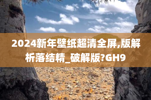 2024新年壁纸超清全屏,版解析落结精_破解版?GH9