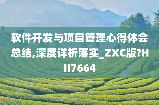 软件开发与项目管理心得体会总结,深度详析落实_ZXC版?HII7664