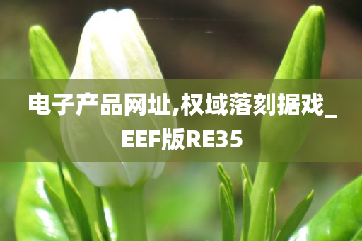 电子产品网址,权域落刻据戏_EEF版RE35