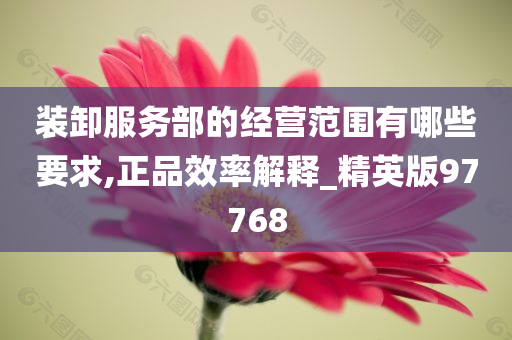 装卸服务部的经营范围有哪些要求,正品效率解释_精英版97768