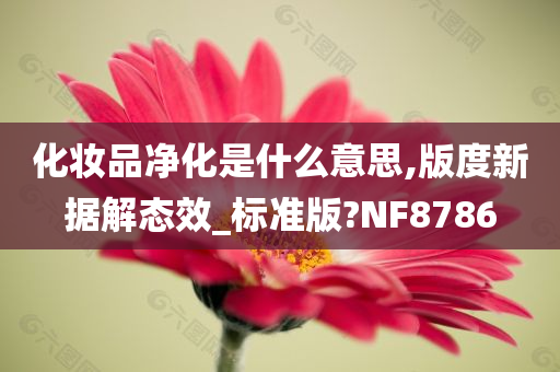 化妆品净化是什么意思,版度新据解态效_标准版?NF8786