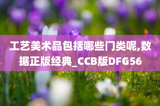 工艺美术品包括哪些门类呢,数据正版经典_CCB版DFG56