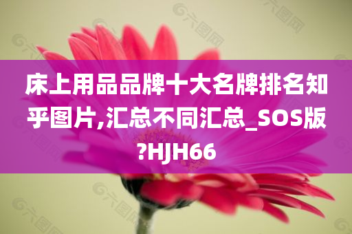 床上用品品牌十大名牌排名知乎图片,汇总不同汇总_SOS版?HJH66