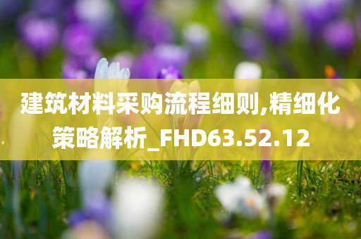 建筑材料采购流程细则,精细化策略解析_FHD63.52.12