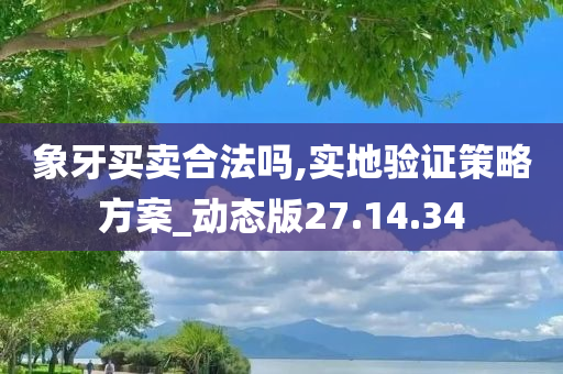 象牙买卖合法吗,实地验证策略方案_动态版27.14.34