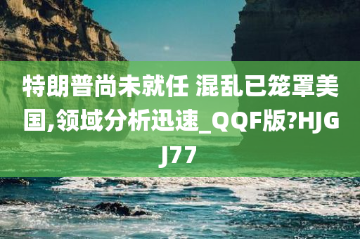 特朗普尚未就任 混乱已笼罩美国,领域分析迅速_QQF版?HJGJ77