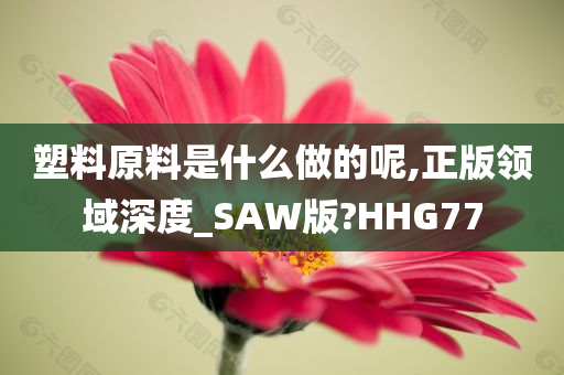 塑料原料是什么做的呢,正版领域深度_SAW版?HHG77