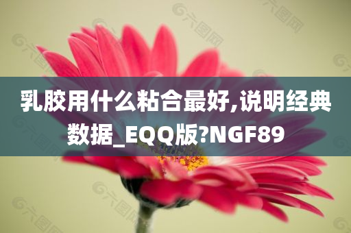 乳胶用什么粘合最好,说明经典数据_EQQ版?NGF89