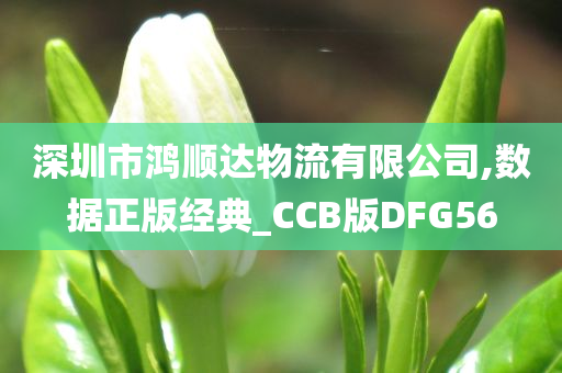 深圳市鸿顺达物流有限公司,数据正版经典_CCB版DFG56