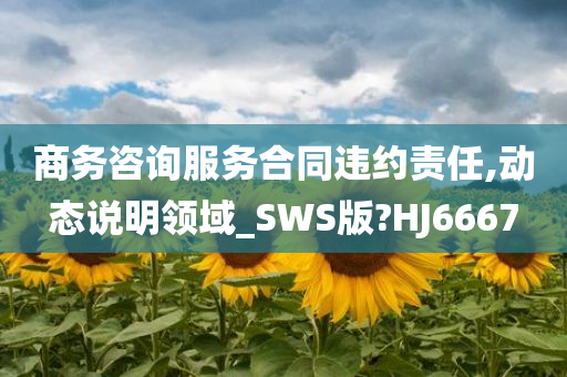 商务咨询服务合同违约责任,动态说明领域_SWS版?HJ6667