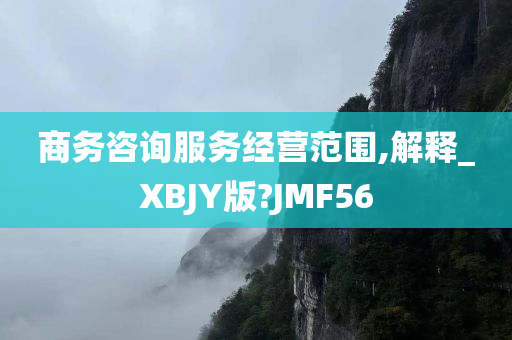 商务咨询服务经营范围,解释_XBJY版?JMF56