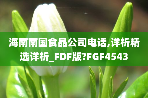 海南南国食品公司电话,详析精选详析_FDF版?FGF4543