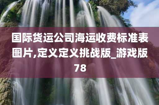 国际货运公司海运收费标准表图片,定义定义挑战版_游戏版78