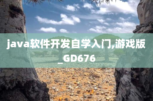 java软件开发自学入门,游戏版_GD676