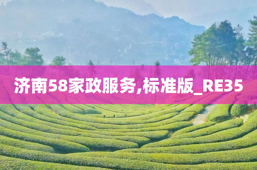 济南58家政服务,标准版_RE35