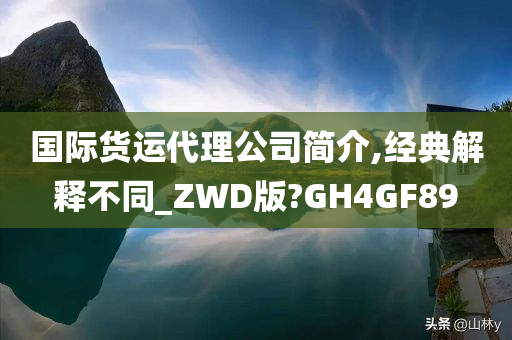 国际货运代理公司简介,经典解释不同_ZWD版?GH4GF89