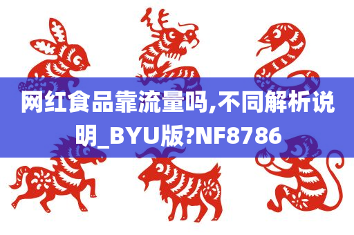 网红食品靠流量吗,不同解析说明_BYU版?NF8786