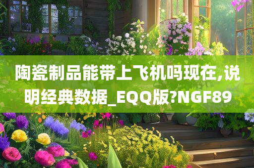 陶瓷制品能带上飞机吗现在,说明经典数据_EQQ版?NGF89