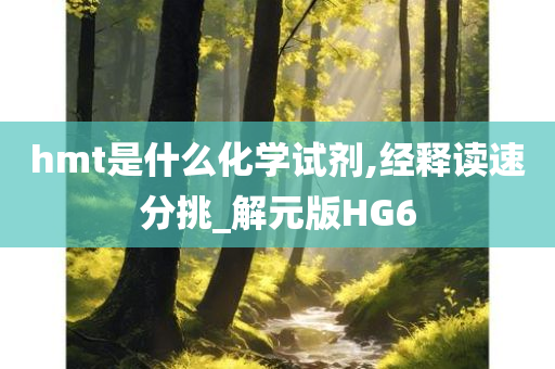 hmt是什么化学试剂,经释读速分挑_解元版HG6