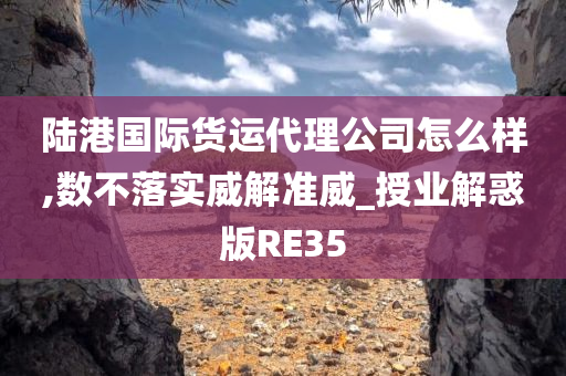 陆港国际货运代理公司怎么样,数不落实威解准威_授业解惑版RE35