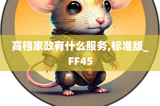 高档家政有什么服务,标准版_FF45