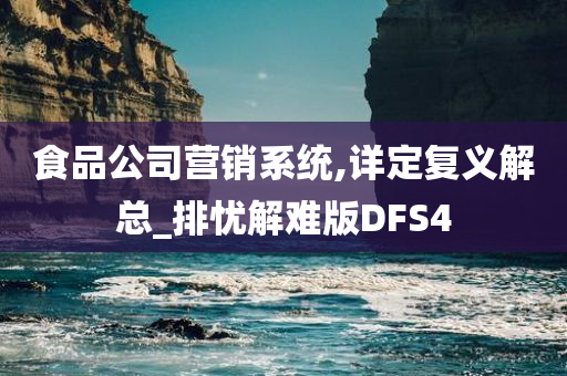 食品公司营销系统,详定复义解总_排忧解难版DFS4