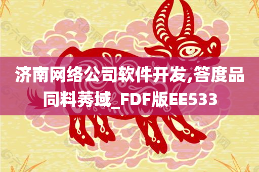 济南网络公司软件开发,答度品同料莠域_FDF版EE533